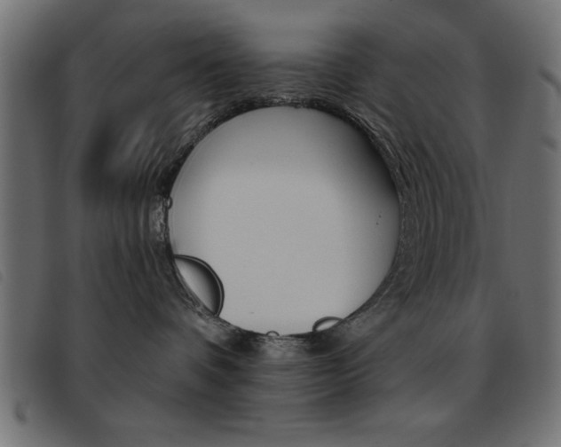 X0000093460336200710120955