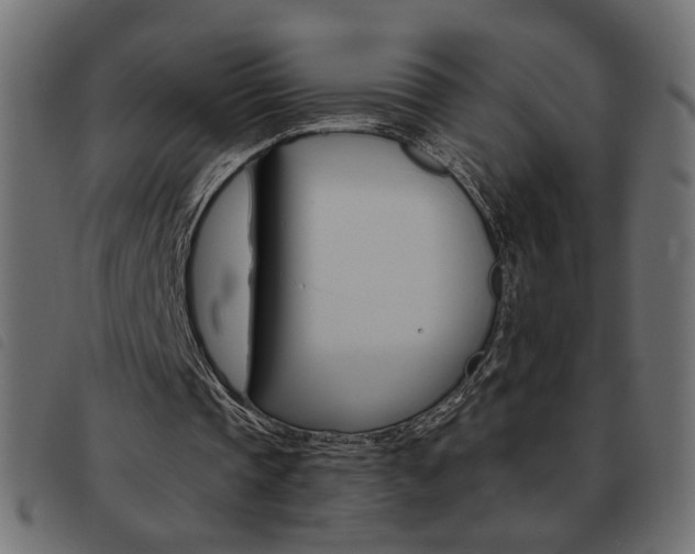 X0000093460337200710120954