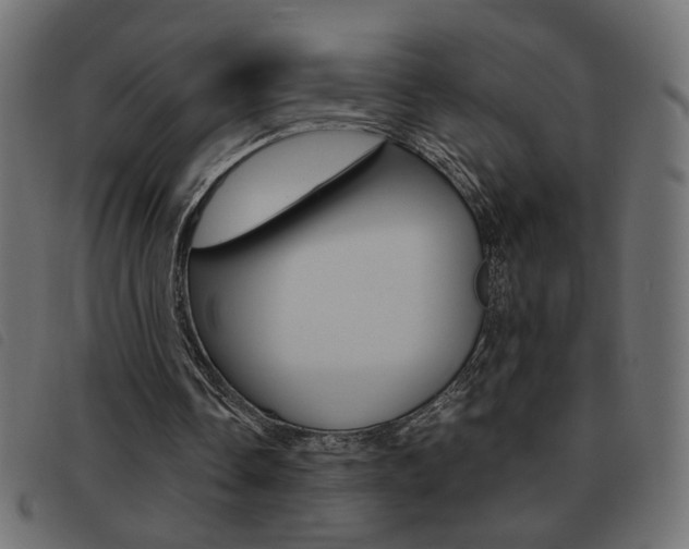 X0000093460338200710120954
