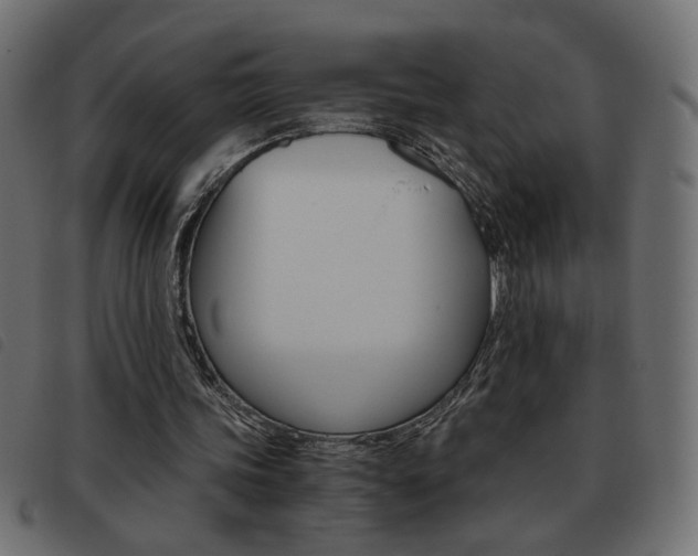 X0000093460339200710120954