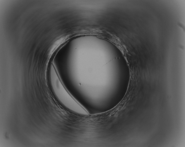 X0000093460340200710120954