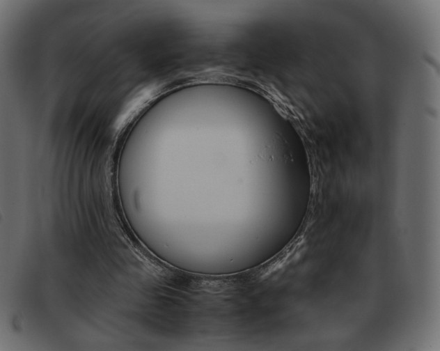 X0000093460341200710120954