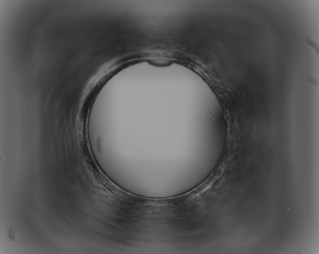 X0000093460343200710120954
