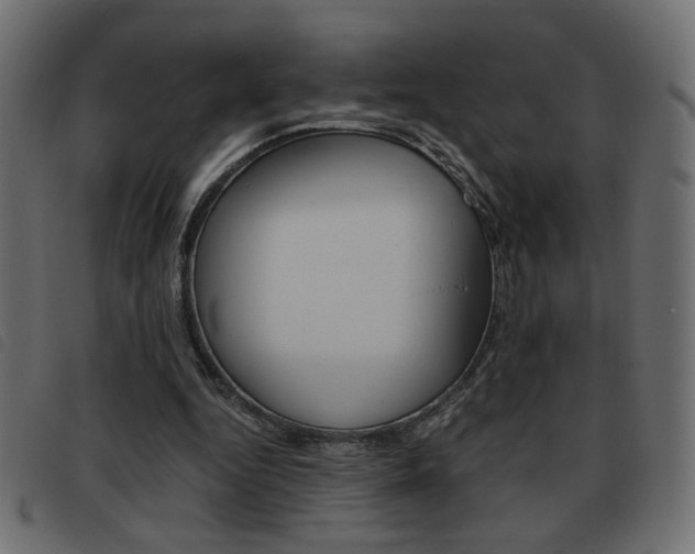 X0000093460344200710120954