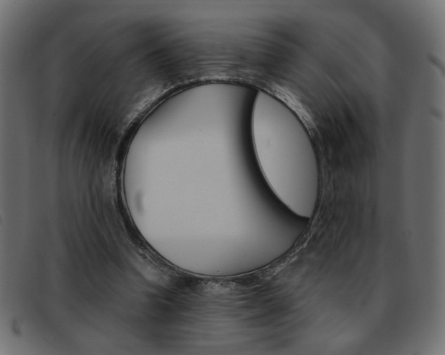 X0000093460346200710120954