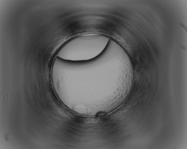X0000093460347200710120954