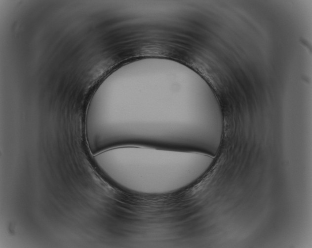 X0000093460349200710120954