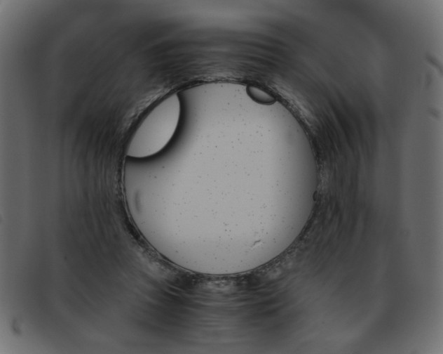 X0000093460353200710120954