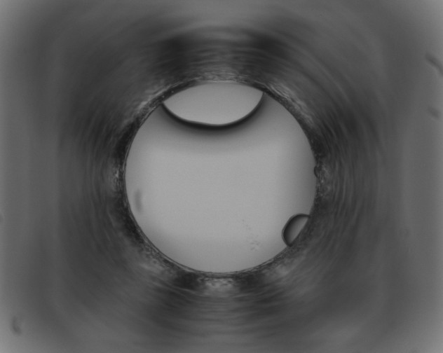X0000093460355200710120954
