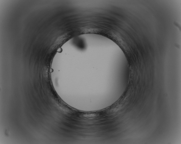 X0000093460357200710120954