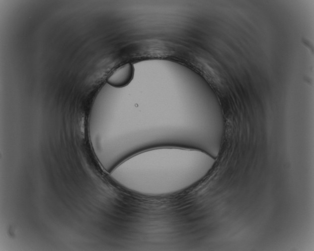 X0000093460358200710120954