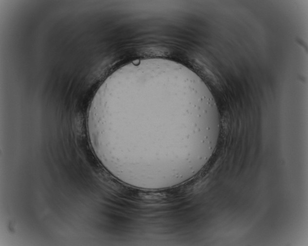 X0000093460359200710120954