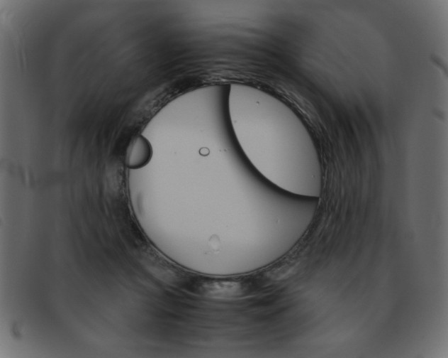 X0000093460361200710120955