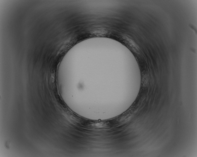X0000093460365200710120955
