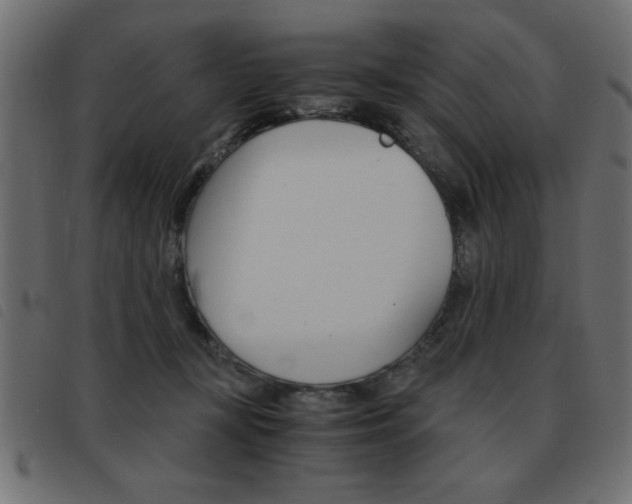 X0000093460367200710120955