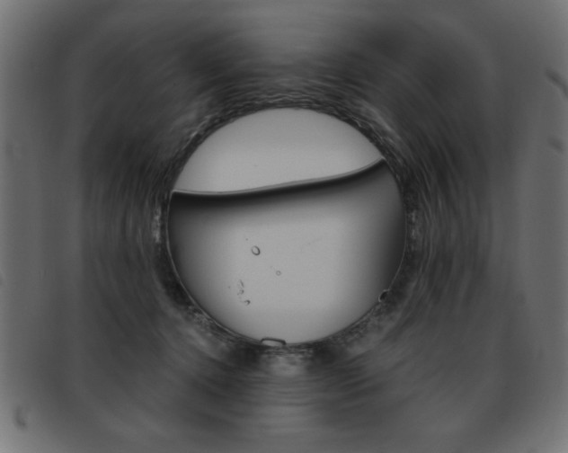 X0000093460368200710120955