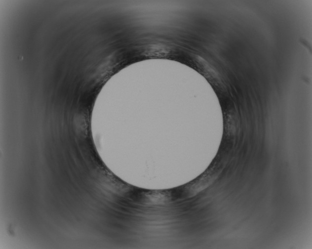 X0000093460370200710120955
