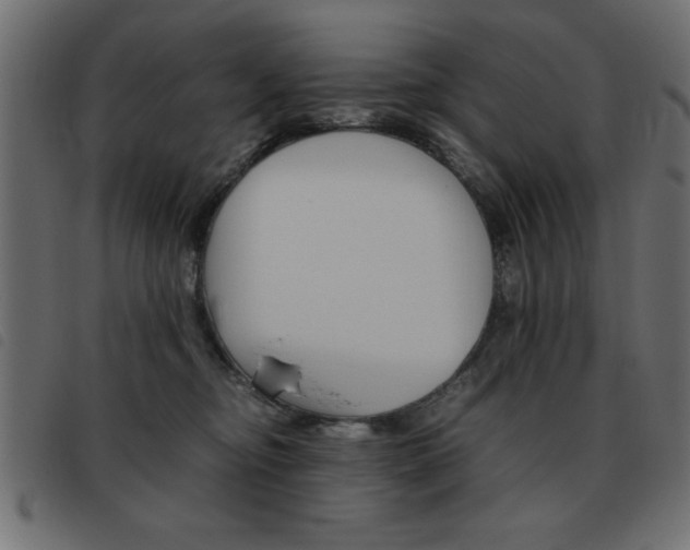 X0000093460374200710120955