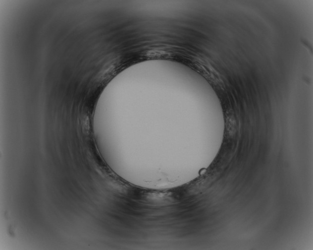 X0000093460375200710120955