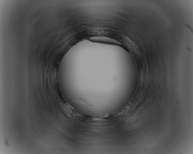 X0000093460376200710120955