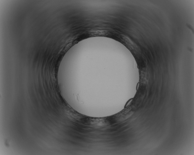 X0000093460377200710120955