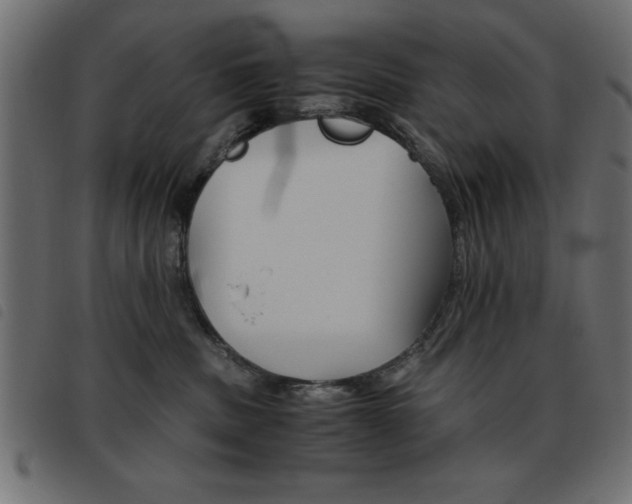 X0000093460379200710120955