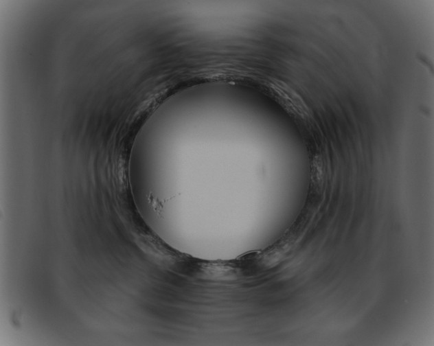 X0000093460380200710120955