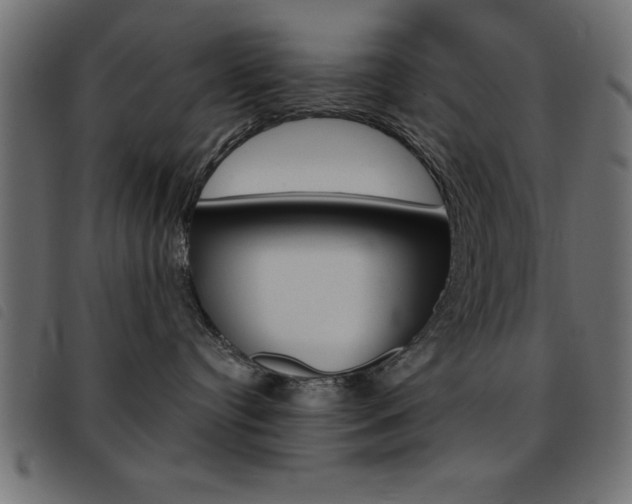 X0000093460384200710120955