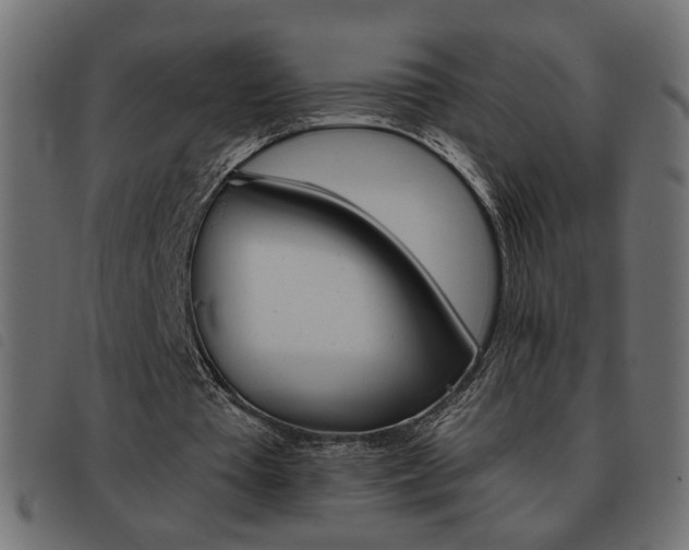 X0000093460385200710120954