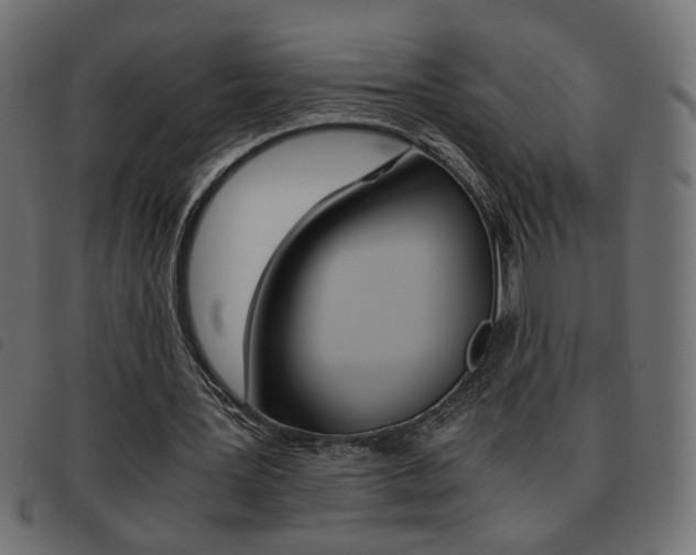 X0000093460387200710120954