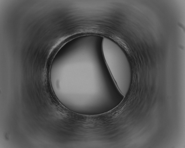 X0000093460388200710120954