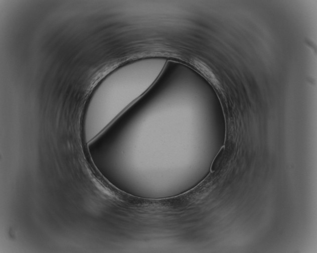 X0000093460389200710120954