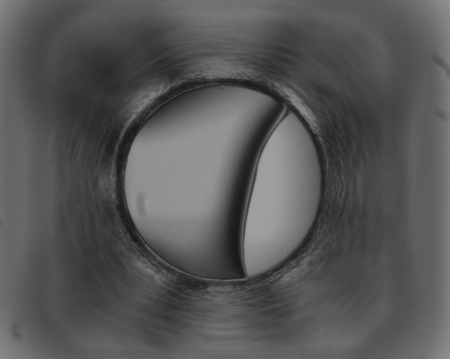 X0000093460391200710120954