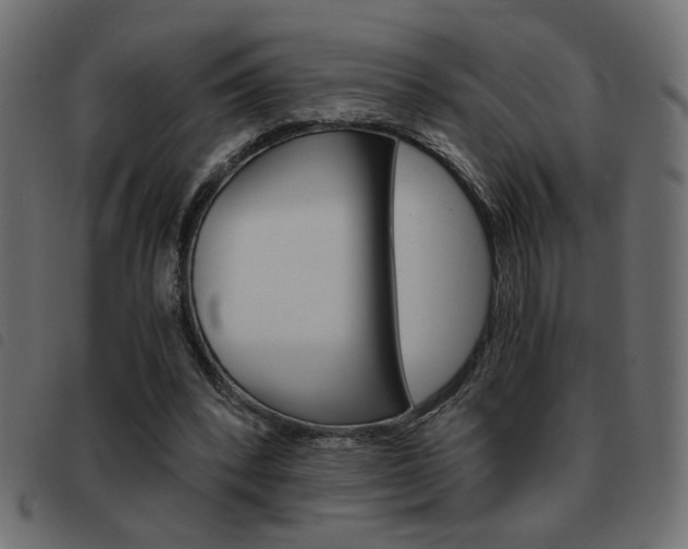 X0000093460392200710120954