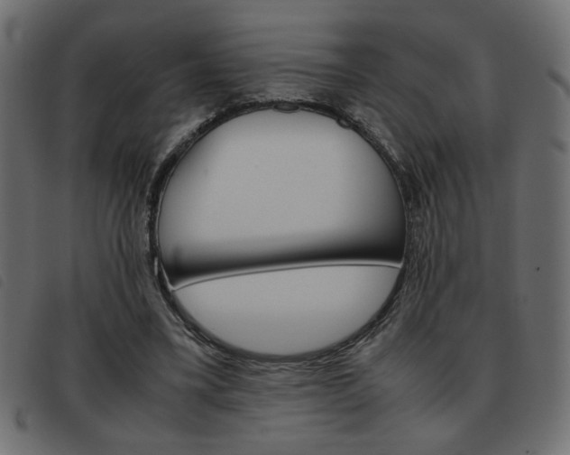X0000093460395200710120954