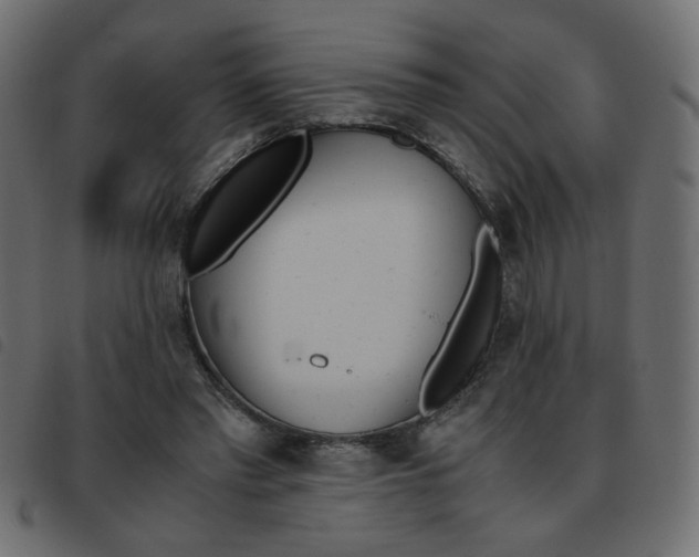 X0000093460397200710120954