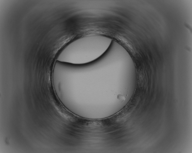 X0000093460398200710120954