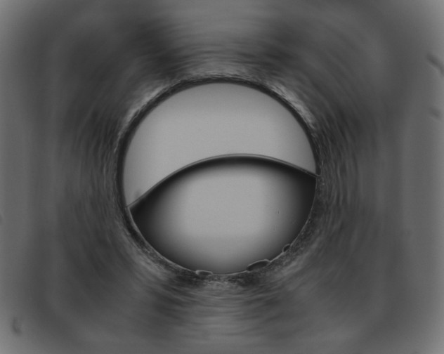 X0000093460399200710120954