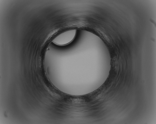 X0000093460400200710120954
