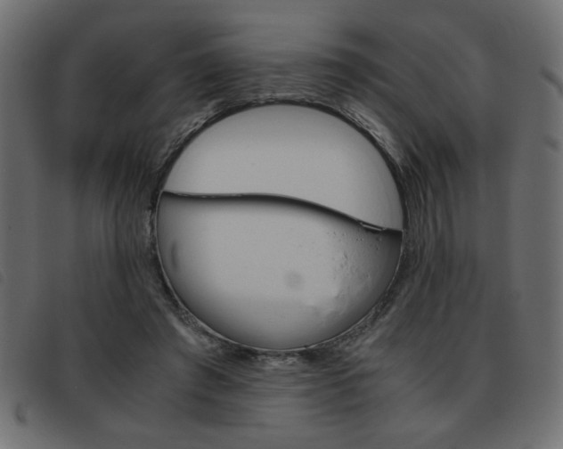 X0000093460401200710120954