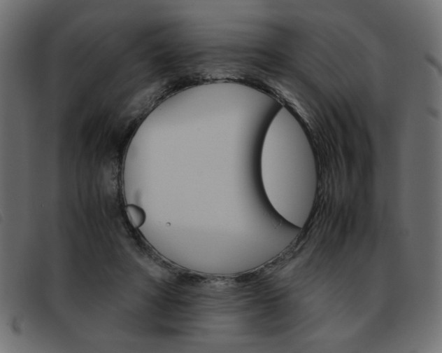 X0000093460402200710120954