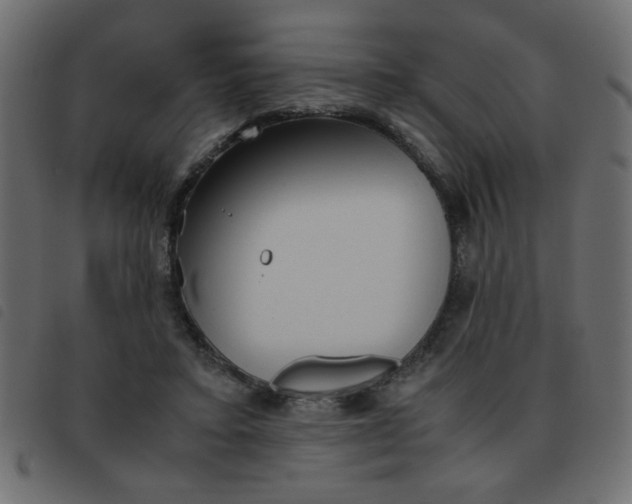 X0000093460403200710120954