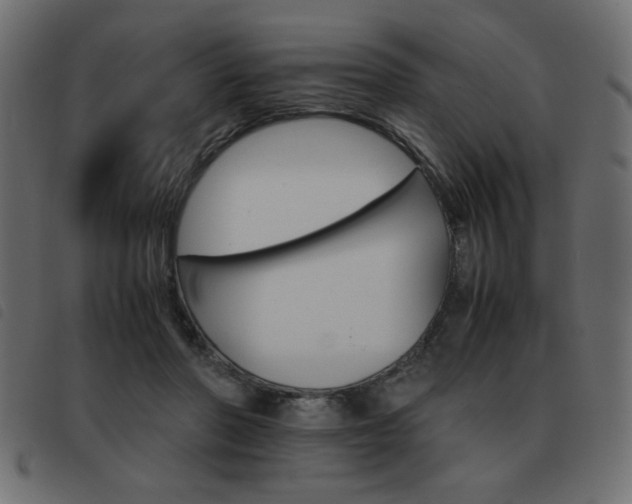 X0000093460406200710120954