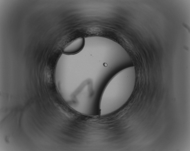 X0000093460408200710120954
