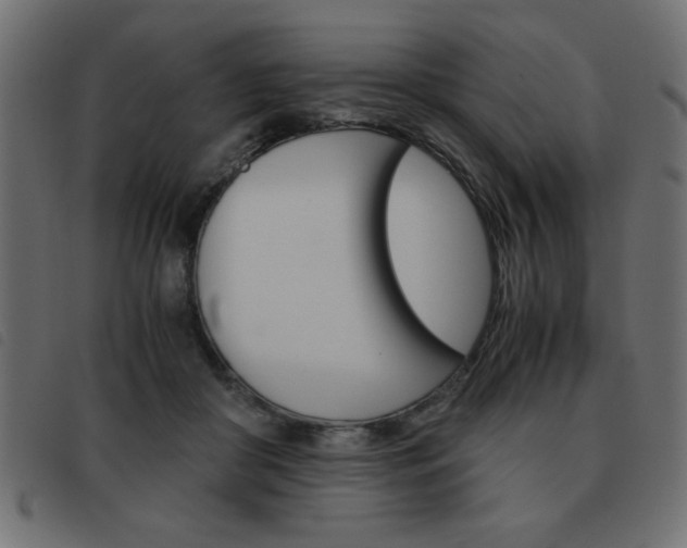 X0000093460410200710120954