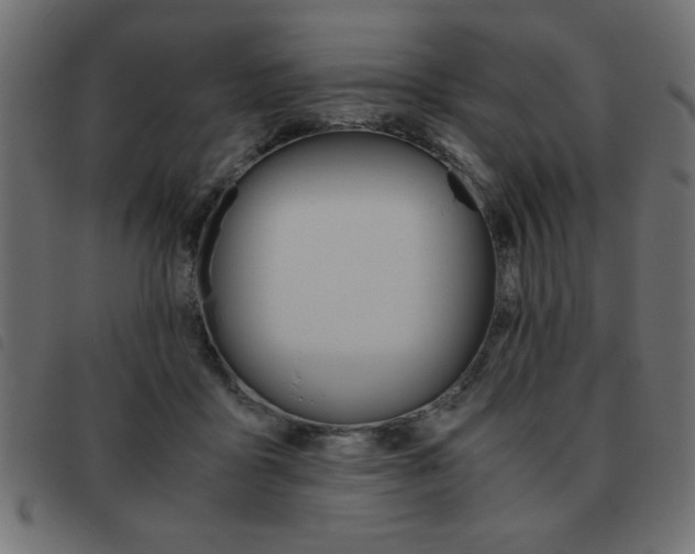 X0000093460411200710120954