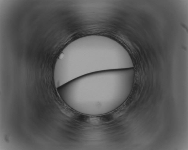 X0000093460413200710120954