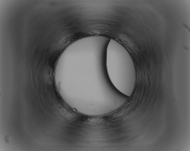 X0000093460414200710120954