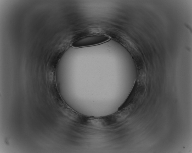 X0000093460417200710120954