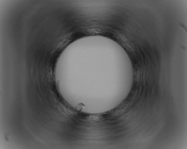 X0000093460418200710120954